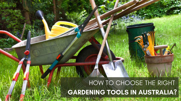 Top 6 ways to choose the right gardening tools in Australia