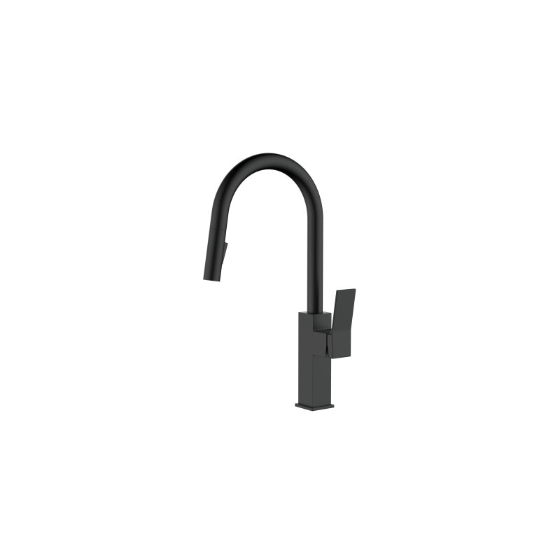 Fossa Rosana Kitchen Sink Mixer With Pull Out Sprayer
