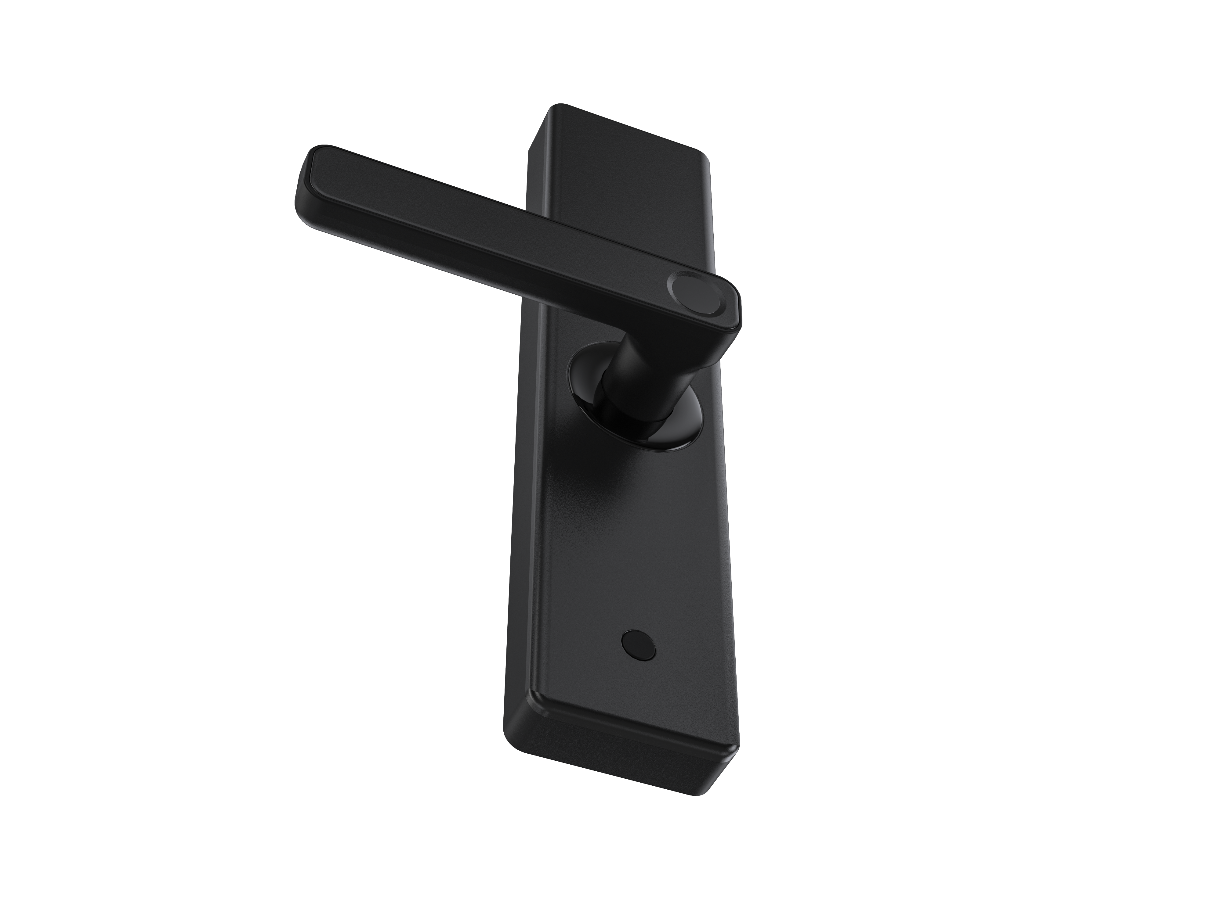 T09 Smart Fingerprint Entrance Door Lock