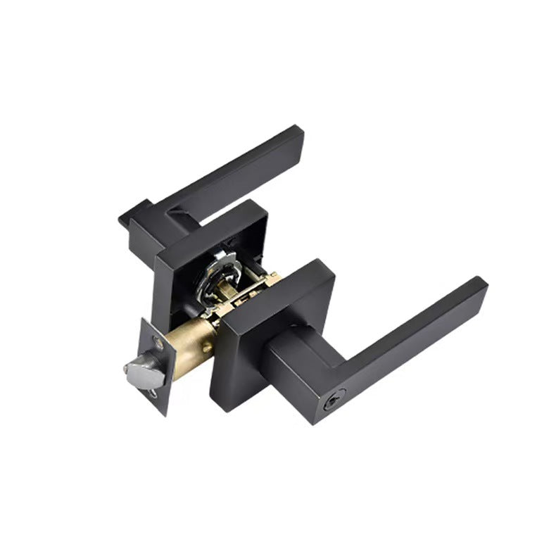Fossa Darwin Square Door Handle