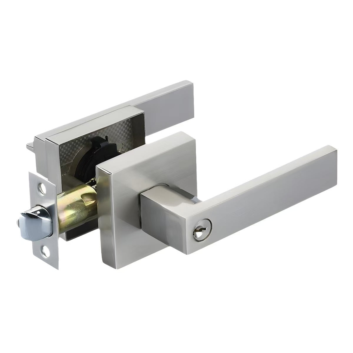 Fossa Darwin Square Door Handle