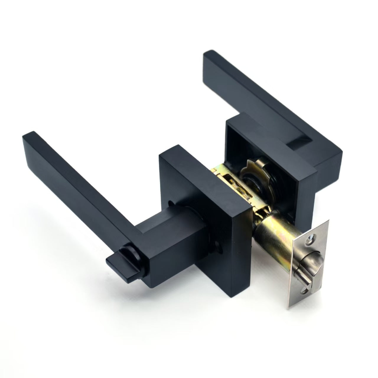 Fossa Darwin Square Door Handle
