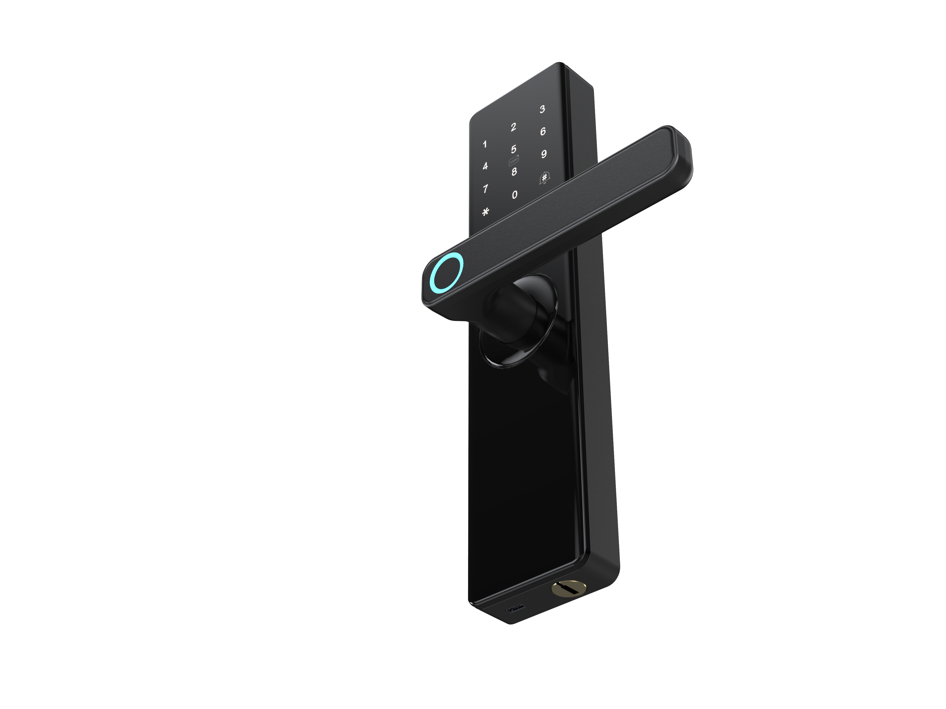 T09 Smart Fingerprint Entrance Door Lock