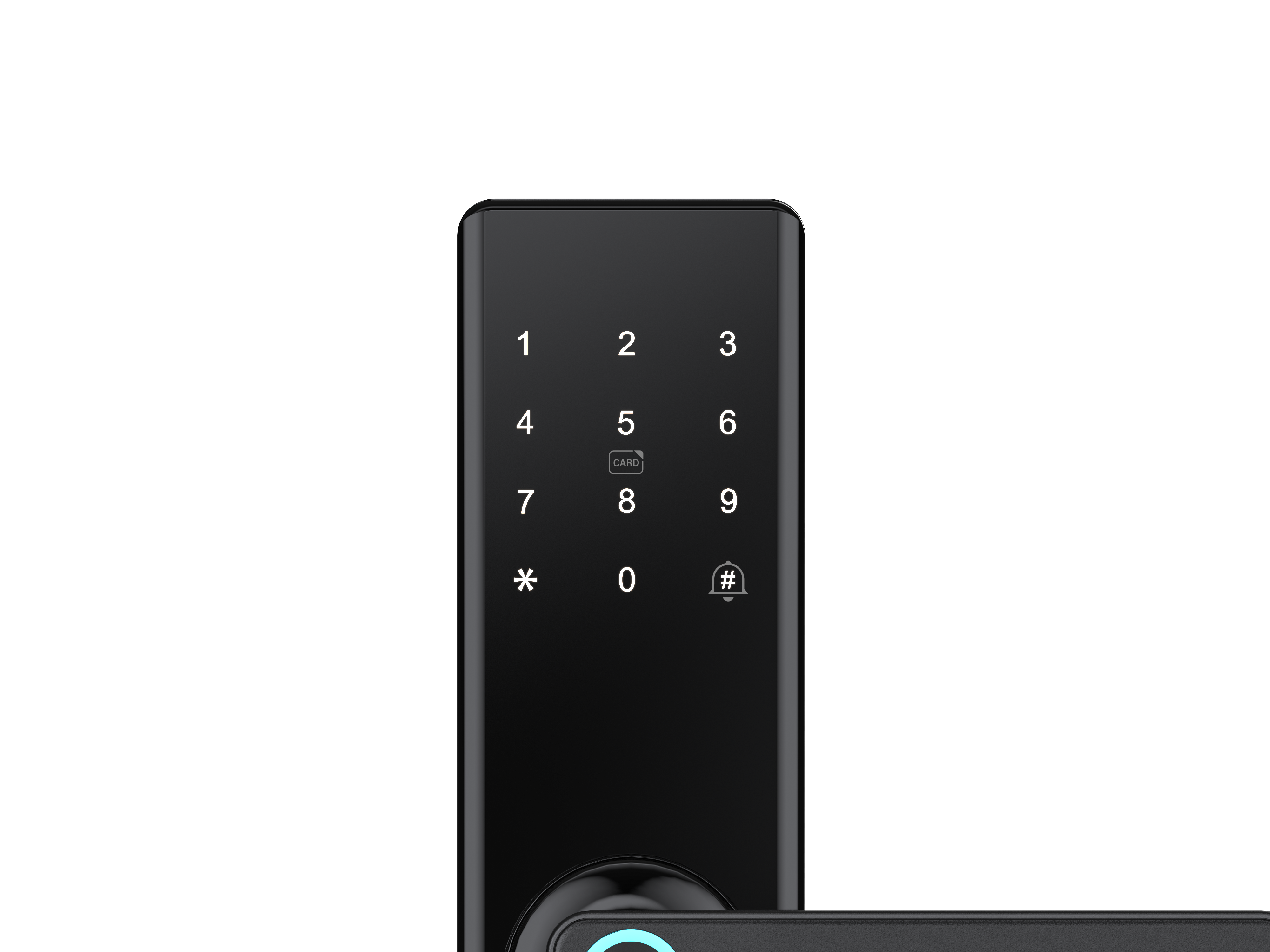 T09 Smart Fingerprint Entrance Door Lock