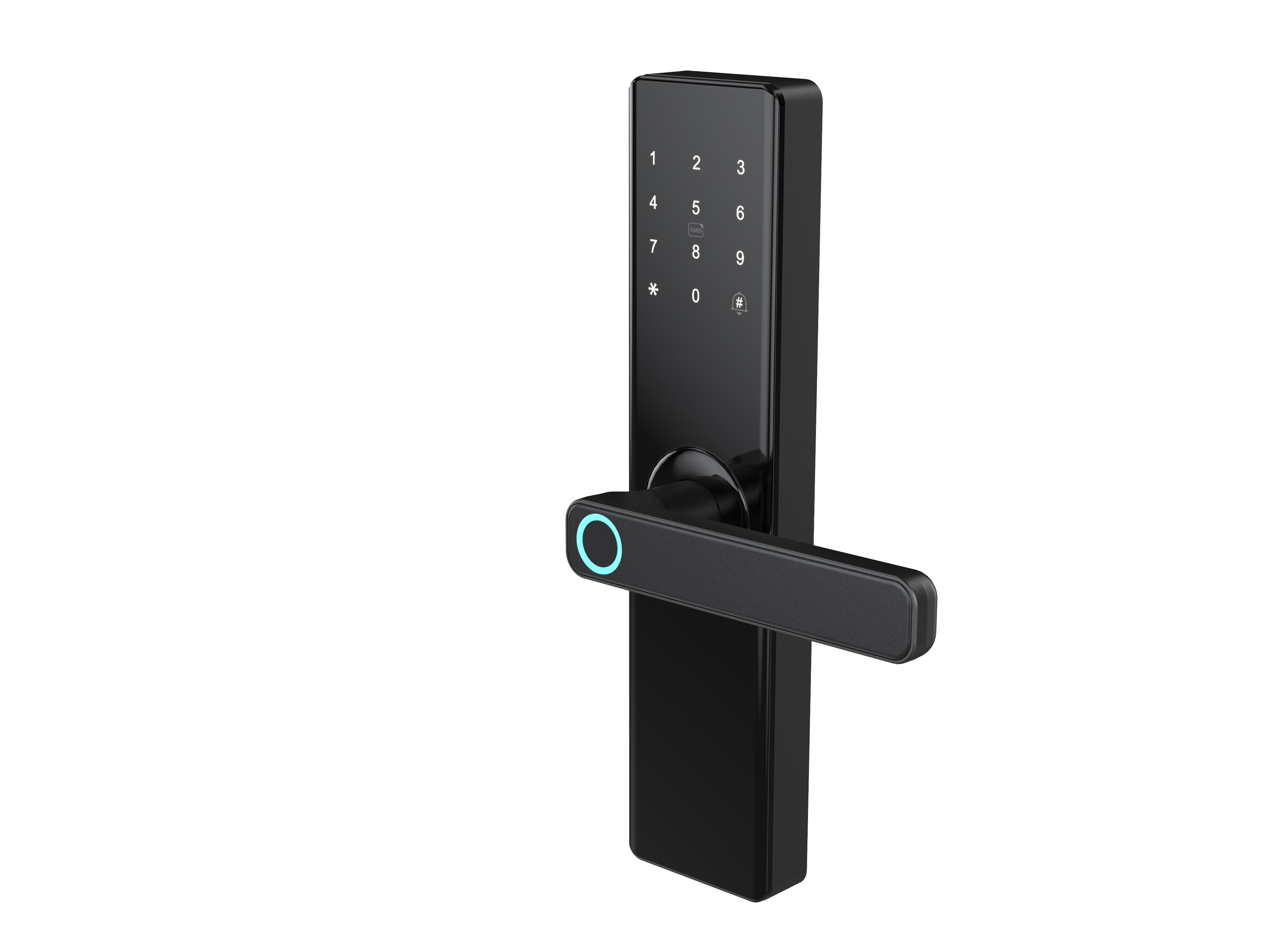 T09 Smart Fingerprint Entrance Door Lock